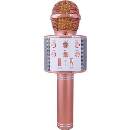 WSTER WS-858 WİRELESS MICROPHONE HIFI SPEAKER,BT